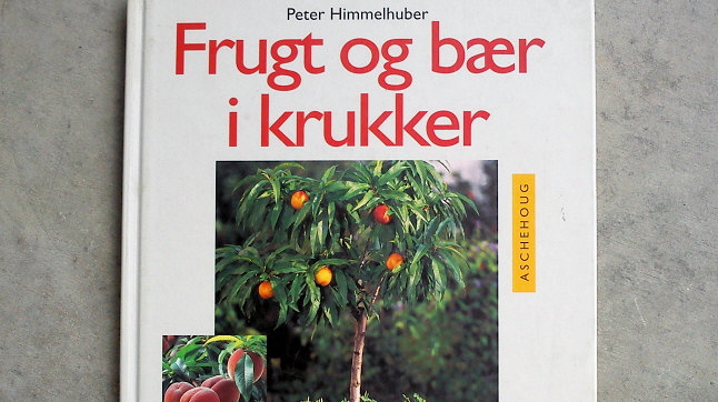 pistol Bliv såret Fabrikant Peter Himmelhuber: Frugt og bær i krukker – Urban gardening
