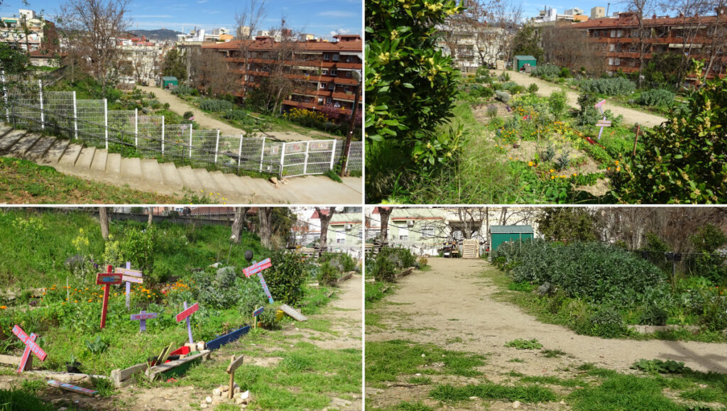 Hort Urbà Comunitari Font de la Guatlla