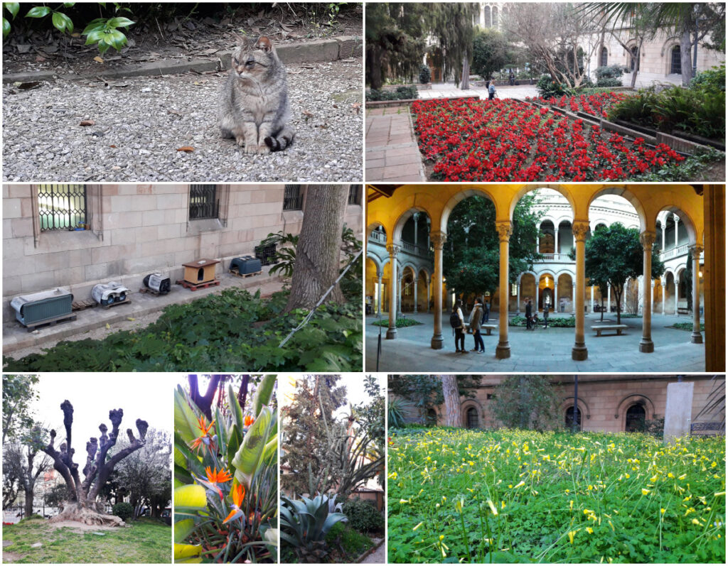 Jardins de la Universitat de Barcelona